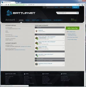 Battle.net HearthStone: Heroes of WarCraft Game Account